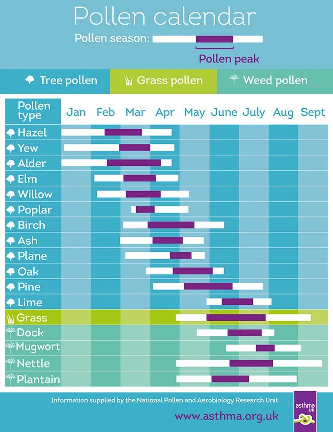 Hay fever How to ease your symptoms or get help Gosforth Memorial