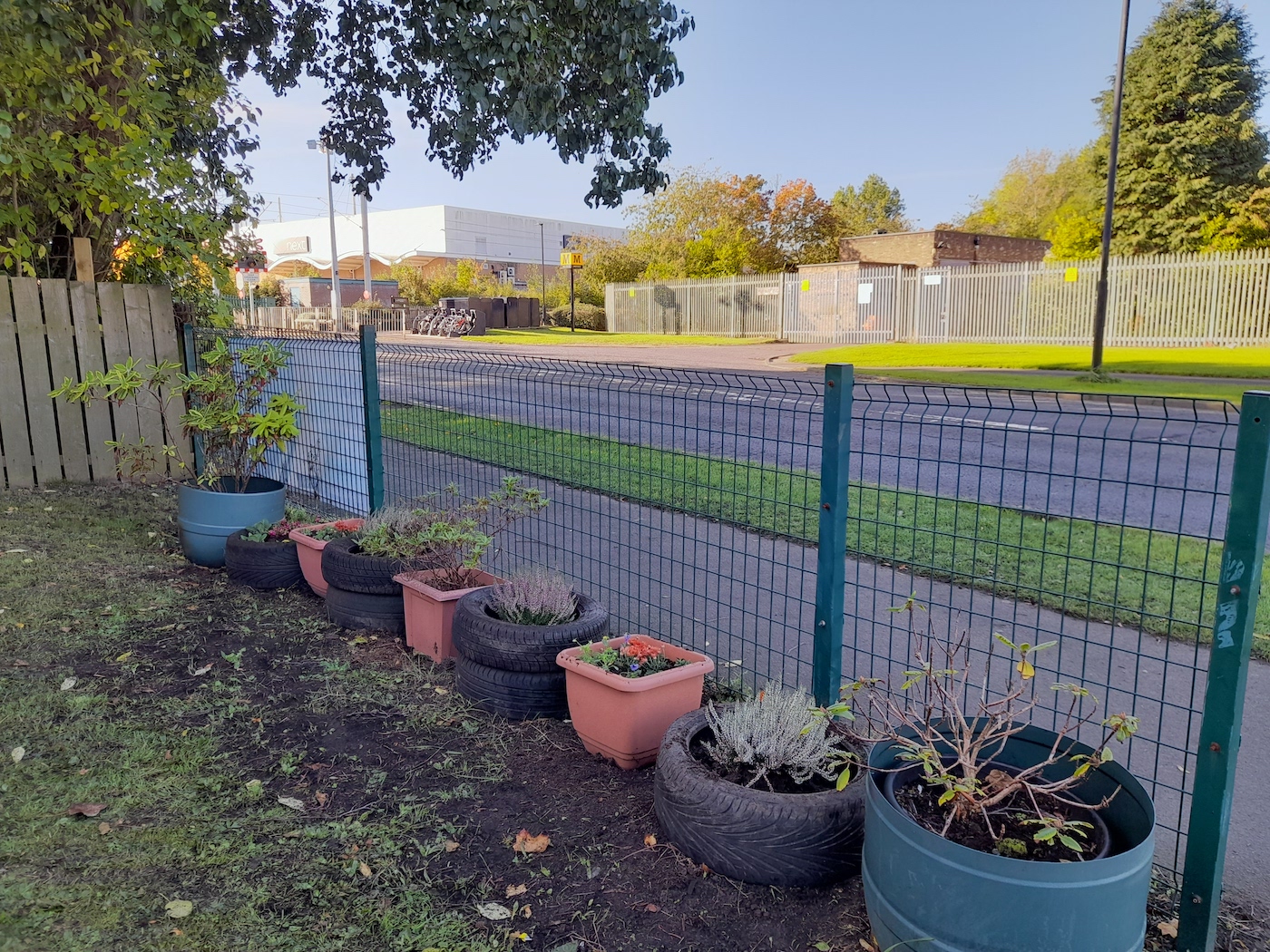 Photo of a neat row of plants in pots next to a tidied fence